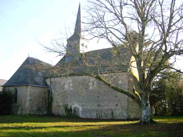 Flée