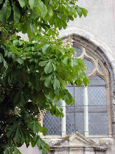Fenêtre gothique