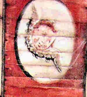 Un angelot