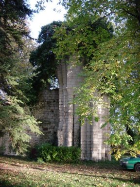Ruines de l'abbaye